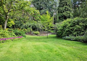 Optimiser l'expérience du jardin à Pavant